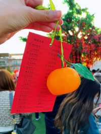 大埔｜許願節回歸•林村許願樹🍊