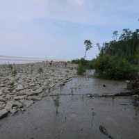 Venture into the Heart of Tanjung Piai