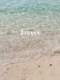 ‼️แชร์โลมา ถ่ายรูปกับน้องห่าน เจ้าหญิงแห่งหาดเทียน