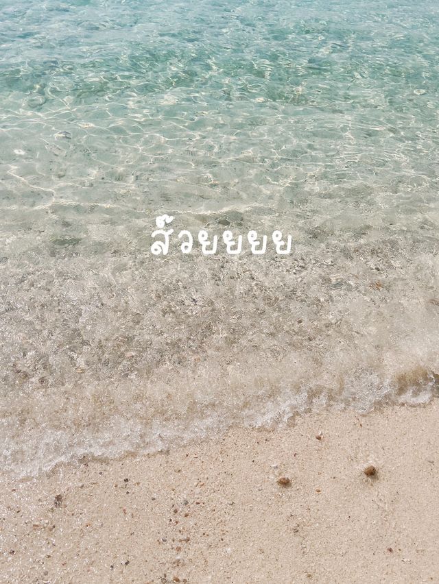 ‼️แชร์โลมา ถ่ายรูปกับน้องห่าน เจ้าหญิงแห่งหาดเทียน