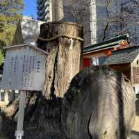 【兵庫県】三ノ宮の人気神社を参拝！
