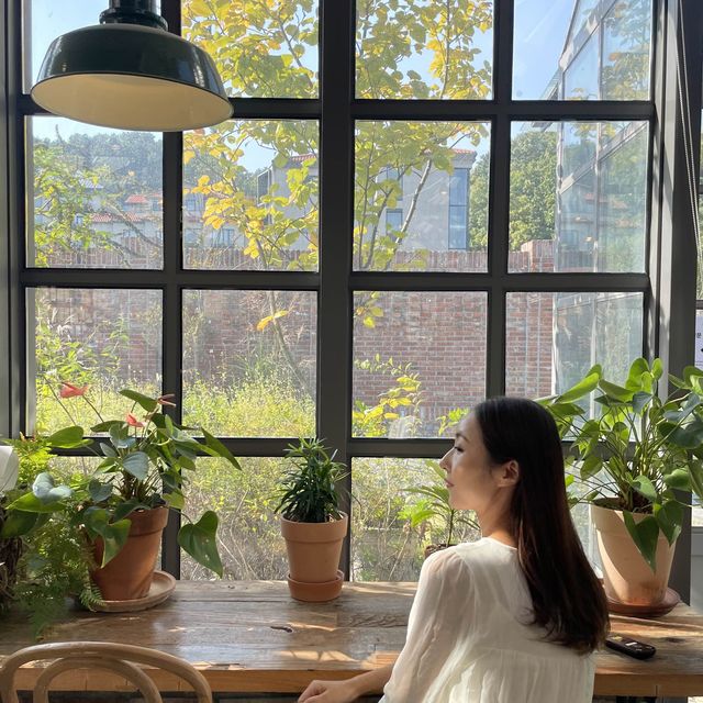 이천 티하우스에덴, 식물원카페🌿