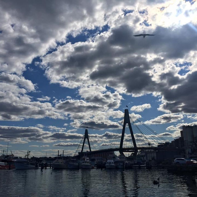 ☀️Sydney Fish Market｜生蠔刺身我來了！不能錯過的悉尼海鮮市場