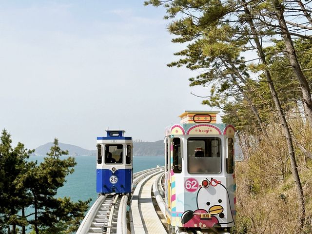 The best way to enjoy Busan’s beaches 🏝️