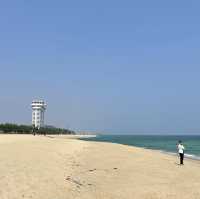 서퍼들이 좋아하는 파도가 몰려온다! 강릉해수욕장🏖️