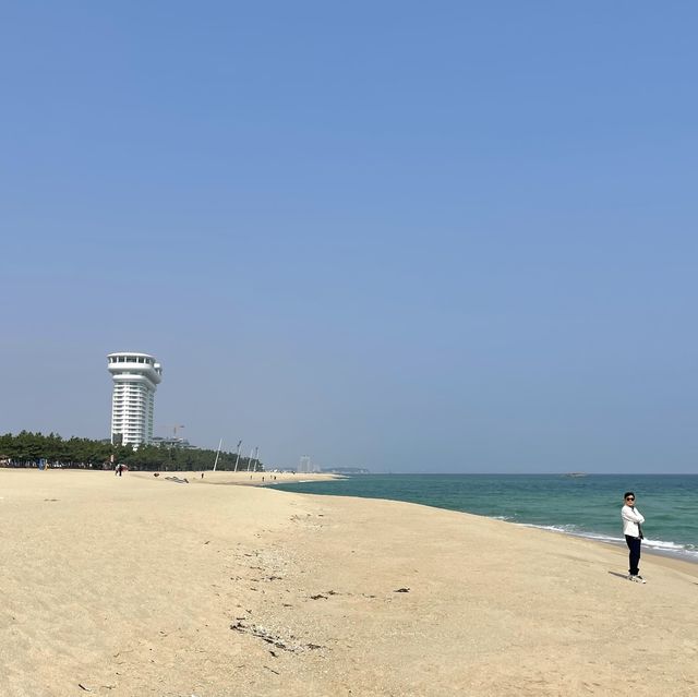 서퍼들이 좋아하는 파도가 몰려온다! 강릉해수욕장🏖️