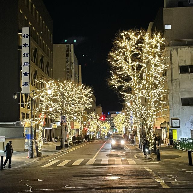 【長野県/松本城🏯】