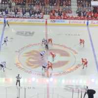 Spent a night at Scotia Saddledome for watching ice hockey