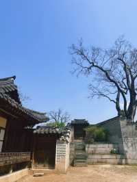 《首爾》一起探訪世界文化遺產昌德宮