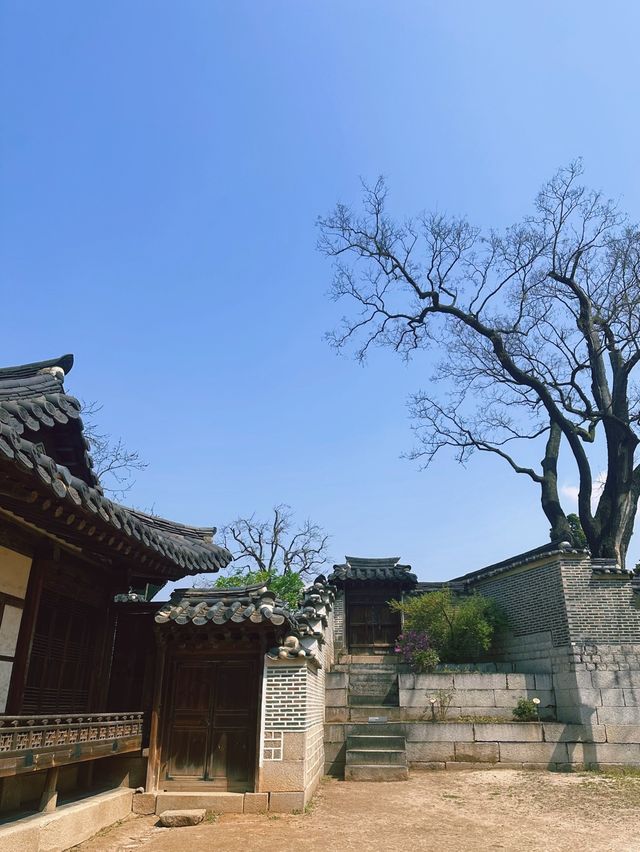 《首爾》一起探訪世界文化遺產昌德宮
