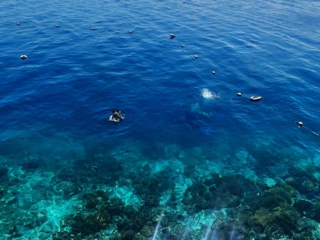 #no filter🌊純天然碧海藍天美人魚🧜🏻‍♀️