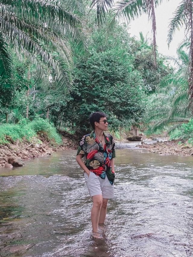 Ton Phet Greenery Garden โตนเพชร กรีนเนอรี 