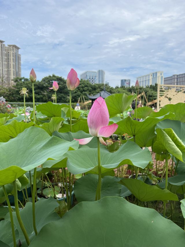 The beautiful Greenland in Macau 