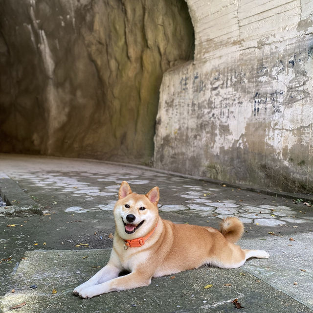 老巴陵橋☀️