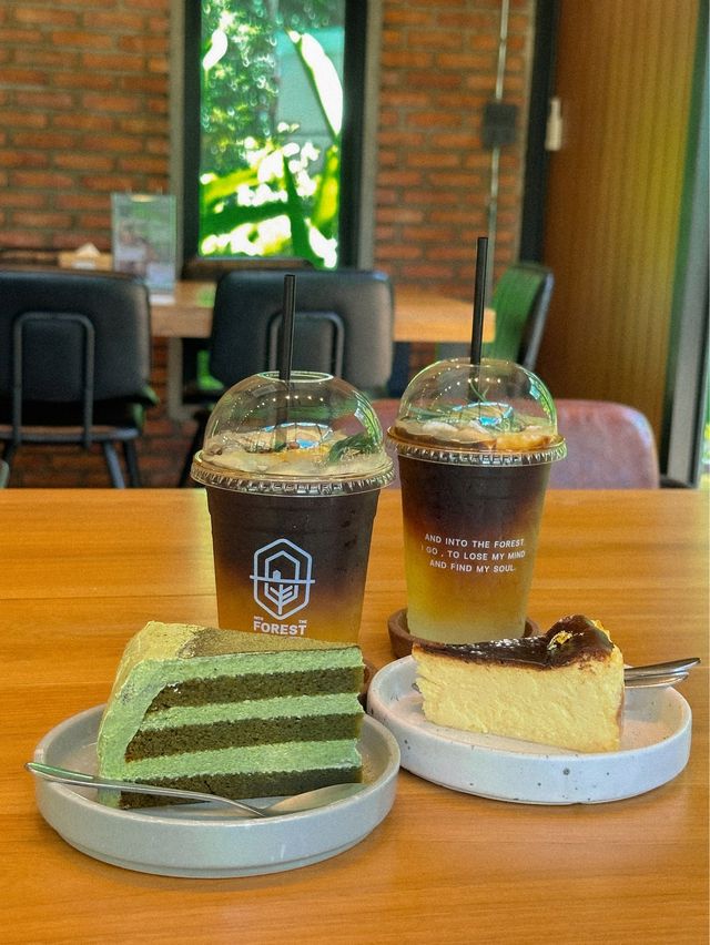 คาเฟ่กระบี่ กลางสวนยาง INTO THE FOREST 