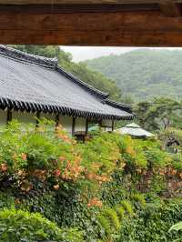 경기 광주 한옥마을 한옥카페 새오개길39