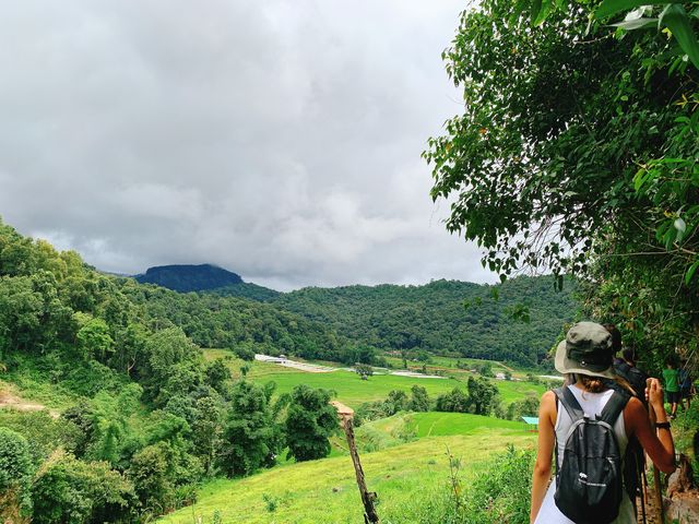 Doi Inthanon / ดอยอินทนนท์ 
