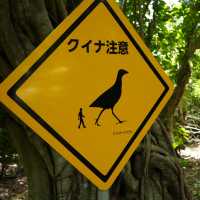 【由布島　動物看板探し】