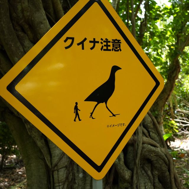 【由布島　動物看板探し】