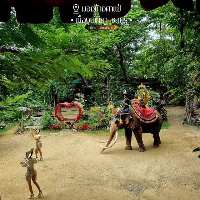 มองช้างคาเฟ่ [เมืองพัทยา] - ชลบุรี