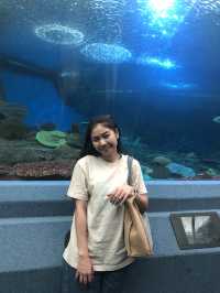 โลกใต้ทะเลที่พัทยา🐳🐋🐬
