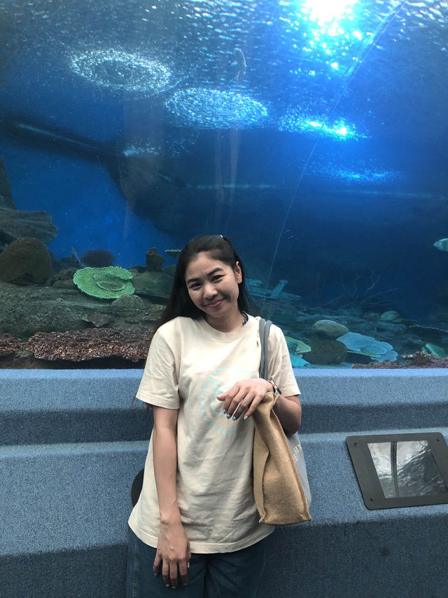 โลกใต้ทะเลที่พัทยา🐳🐋🐬