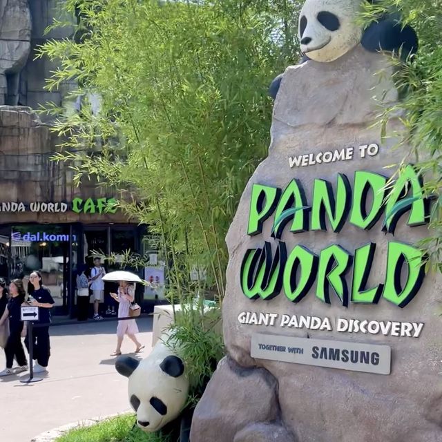 앞으로 에버랜드 푸바오 가족 5분만 볼 수 있다🐼