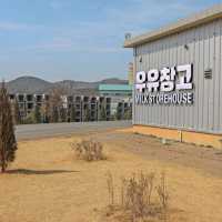 실제 젖소를 볼 수 있는 아이랑 갈만한 카페 우유창고