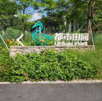 ▍療癒之旅 ▍深圳都市田園：忘卻喧囂，尋覓愜意自然美景 