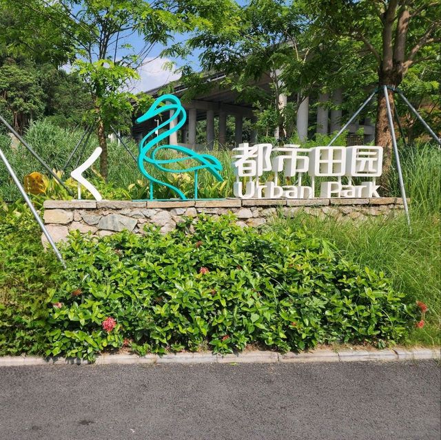 ▍療癒之旅 ▍深圳都市田園：忘卻喧囂，尋覓愜意自然美景 