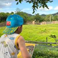 【臺北市立動物園】：樂學給合♡親子探索自然的夢幻之旅