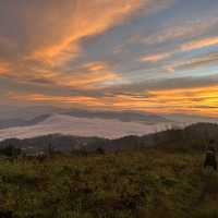 Mt.Yangbew | บาเกียว ฟิลิปปินส์🇵🇭