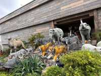 Noah's Ark Hong Kong 🎯✨