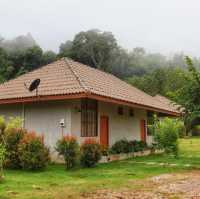 The Liveliwoods บ้านป่าร่าเริง