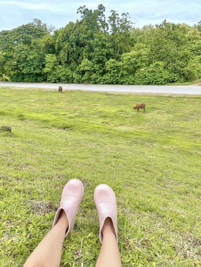 สถานที่เที่ยวลับสุโขทัย⛅️🐂🍃