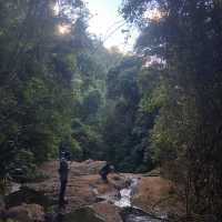 Healthy tour in Lamington National Park 