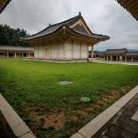 The Beauty Of Tongiljeon in Gyeongsangbukdo 