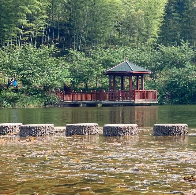 黃陂生態濕地園 🌿與鳥兒親密互動的鳥語之旅 🦆🌏