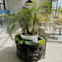 Olympus Coffee Bali