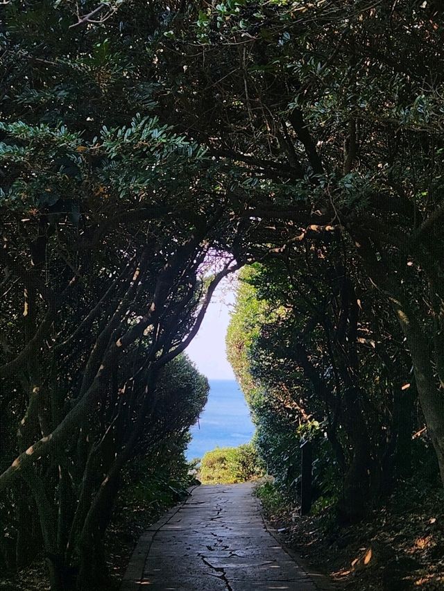 📸제주여행, 한반도 포토존이 있는 남원 "큰엉해안경승지"📸