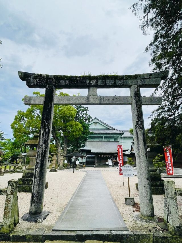 【島根県/松江神社】2023年行ってみてよかった！島根県の神社⑥