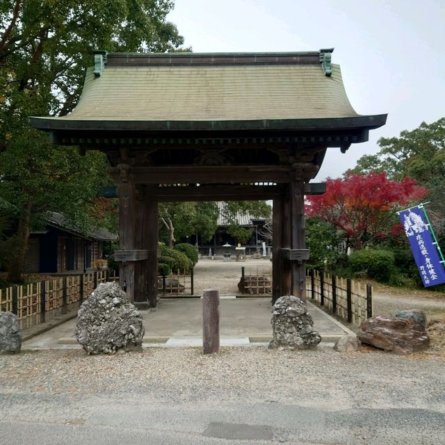 お砂踏みで88の霊場巡り「野間大坊」