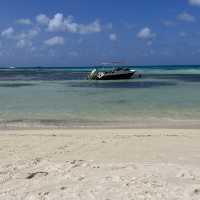 A Perfect Oasis and memorable experience 