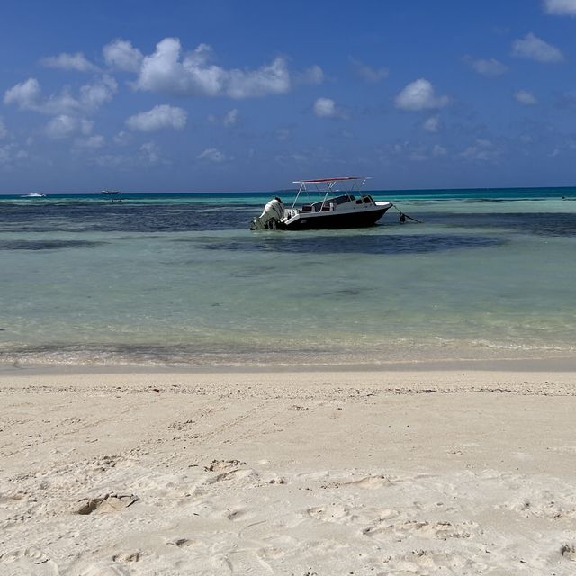 A Perfect Oasis and memorable experience 