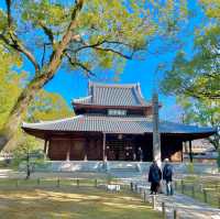 Shofukuji Serenity: Timeless Tranquility