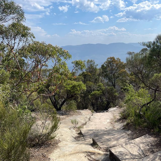 Wonderful view from Jamison Lookout point 