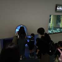 Fun filled time at Nagoya Port Aquarium 