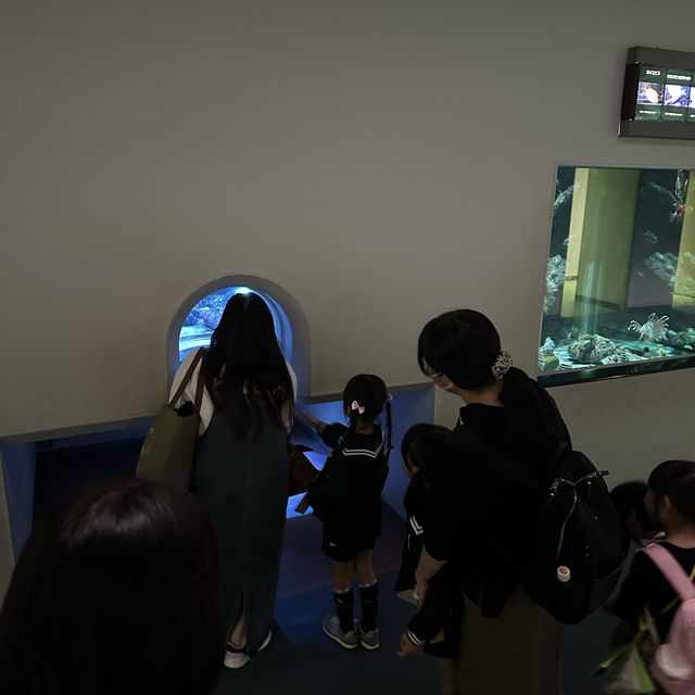 Fun filled time at Nagoya Port Aquarium  Fun filled time at Nagoya Port Aquarium