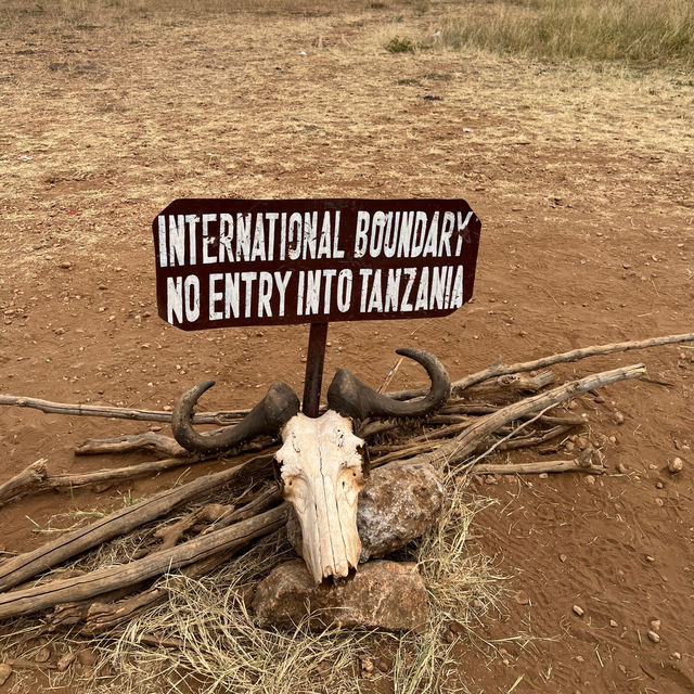肯亞🇰🇪動物大遷徙🦓馬賽馬拉國家公園