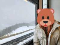 【瑞士鐵路】Kleine Scheidegg：冬季美景，少女峰鐵路真正起點